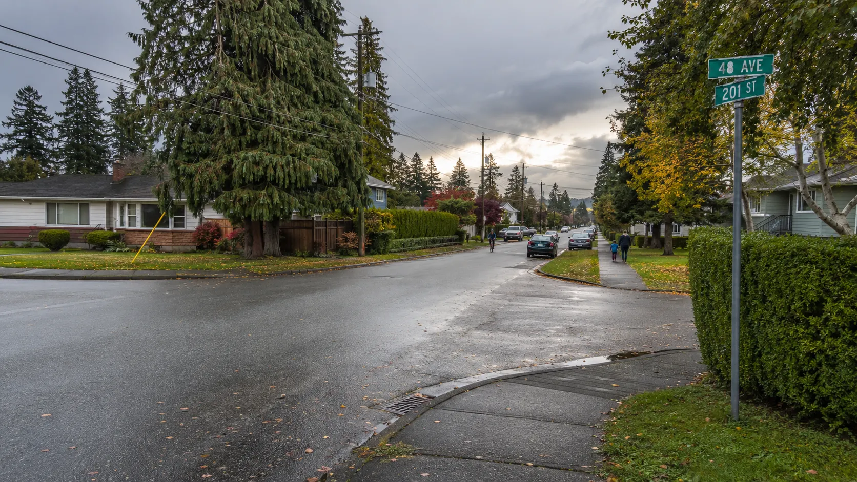 Quiet detached homes on established Simonds streets in Langley City